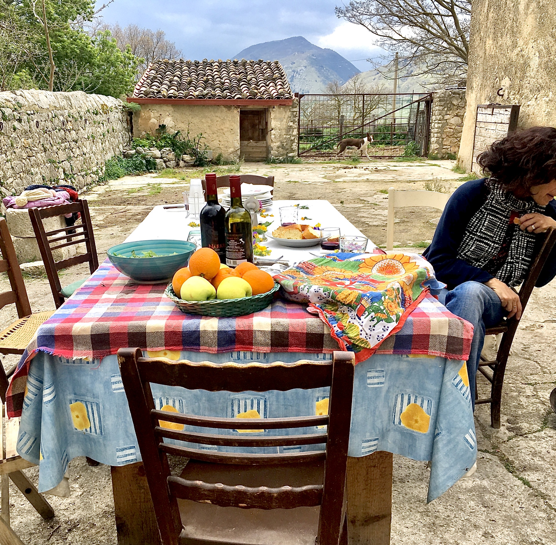 Azienda agricola Traina